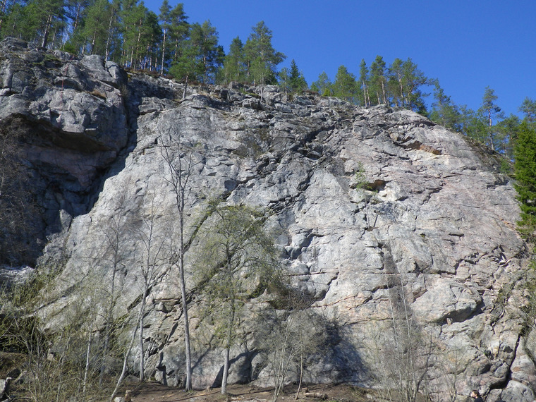 сектор Полтинник