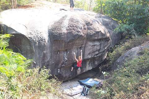 Bruno Kara