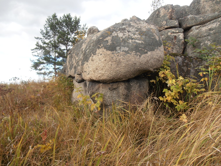 Один в поле