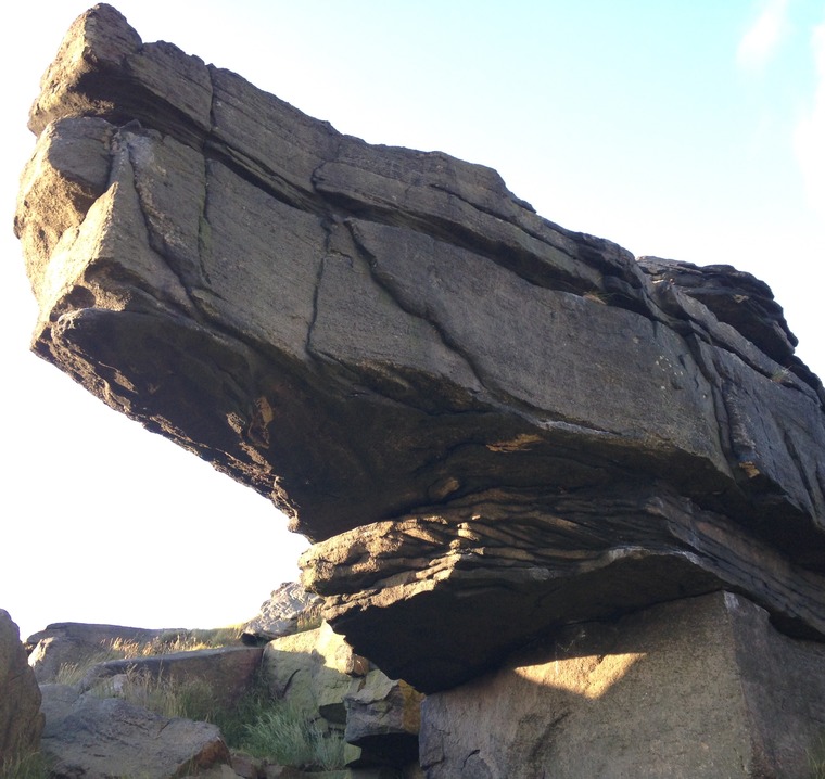 Sector F/Pig in a Pokey