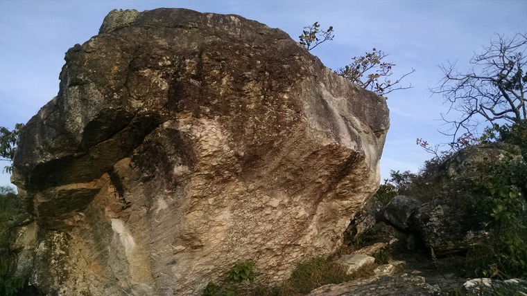 Casa da Cobra / Florestinha