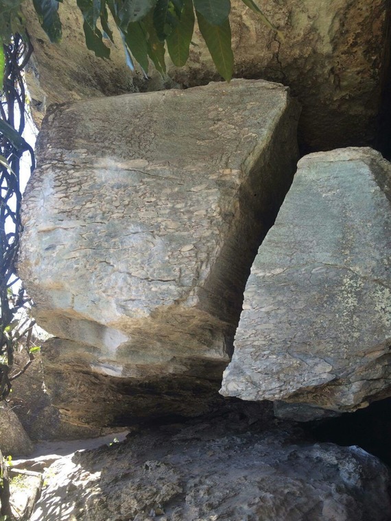 Casa da Cobra / Florestinha