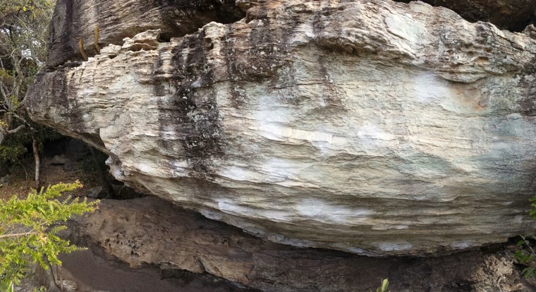 Casa da Cobra / Florestinha