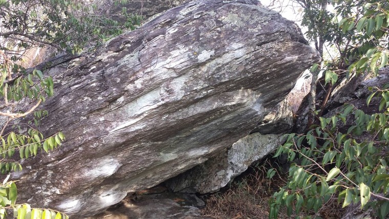 Casa da Cobra / Florestinha