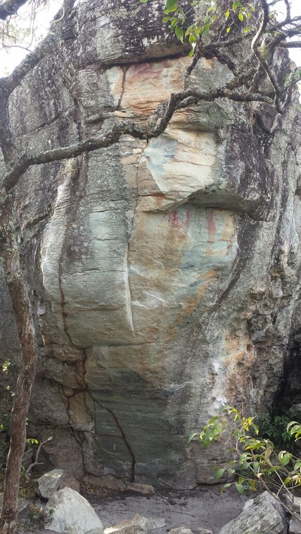 Casa da Cobra / Florestinha