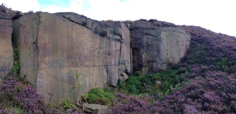 Little Turgate Delph