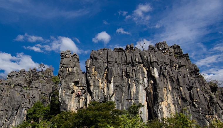 Setor Leão de Judah