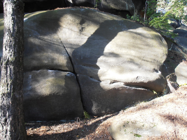 Сектор Электричка