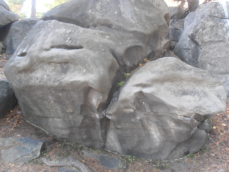 Сектор Электричка