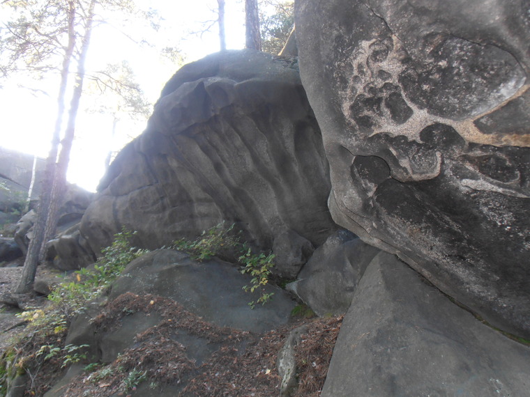 Сектор Электричка