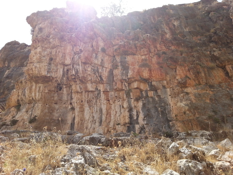 הסקטור הדרומי