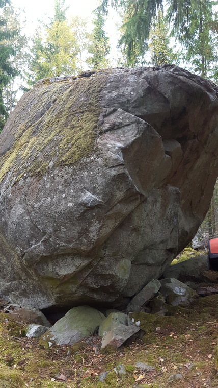 Älgsjö blocket skogen