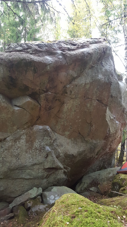 Älgsjö blocket skogen