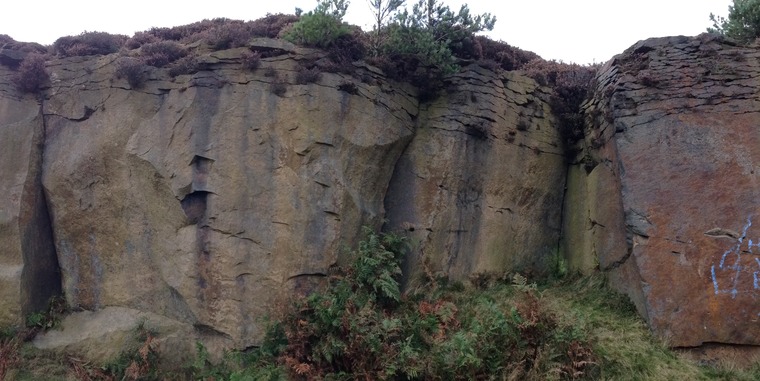 The Back Quarry
