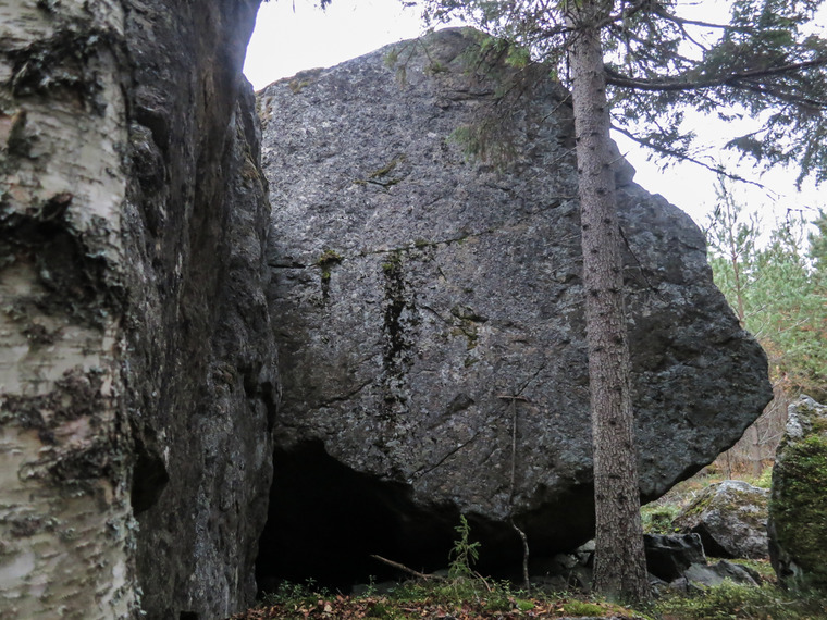 Björkklubban highball