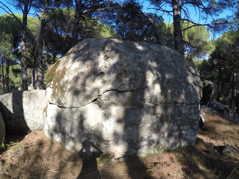 Hit your head on the wall