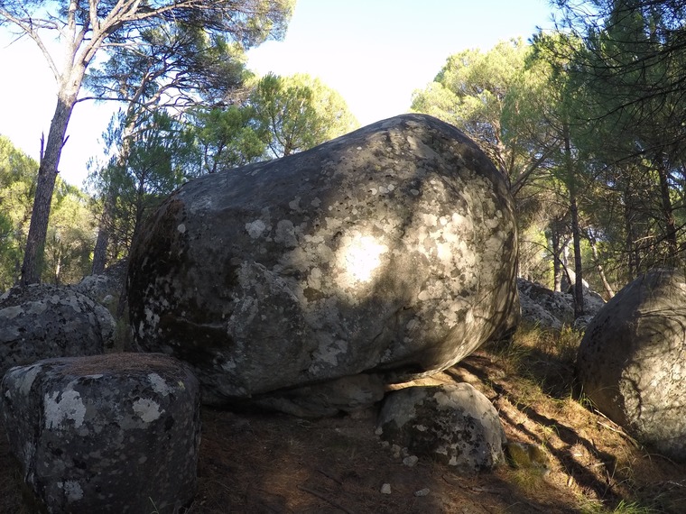 Barış'ın Bıyığı