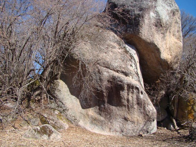 Оргазмотроны