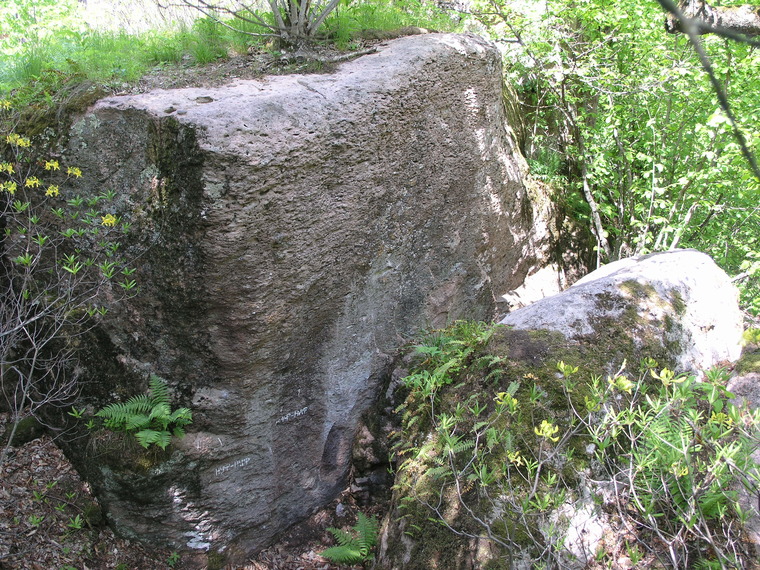 Три поросенка