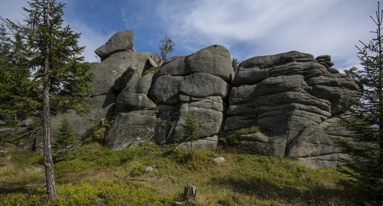 Wielbłąd (Pałacyk)