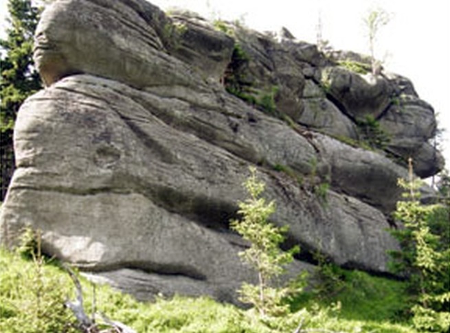 Wielbłąd (Pałacyk)