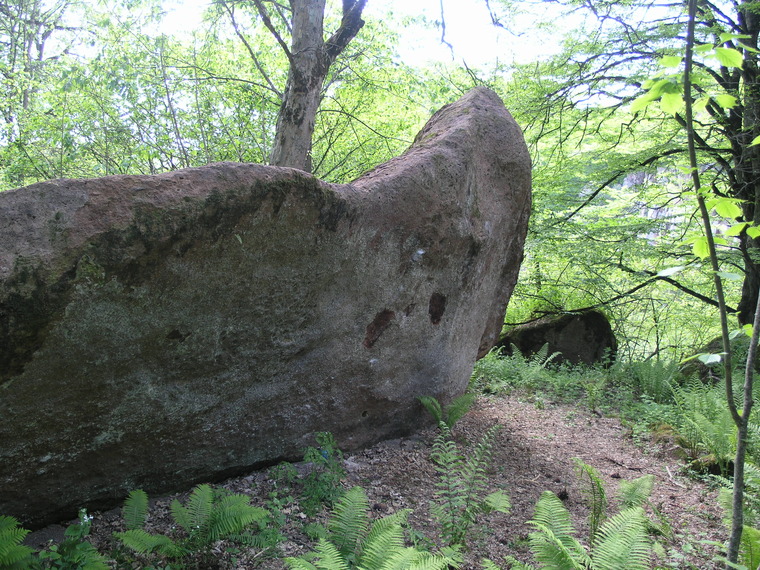 Многоходовочка