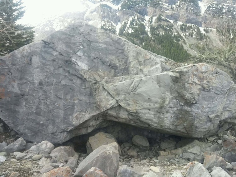 House, Cartel, and Galactic