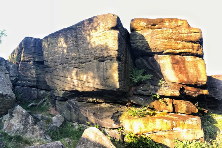 Manson's Must (Wood's Wall)