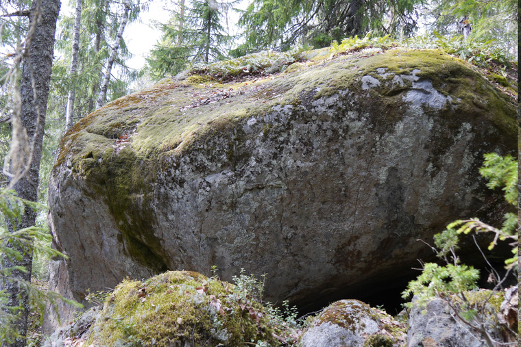 Krokodilstenarna (E)