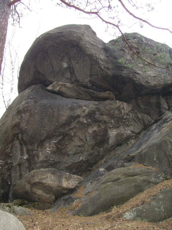 Сектор Электричка