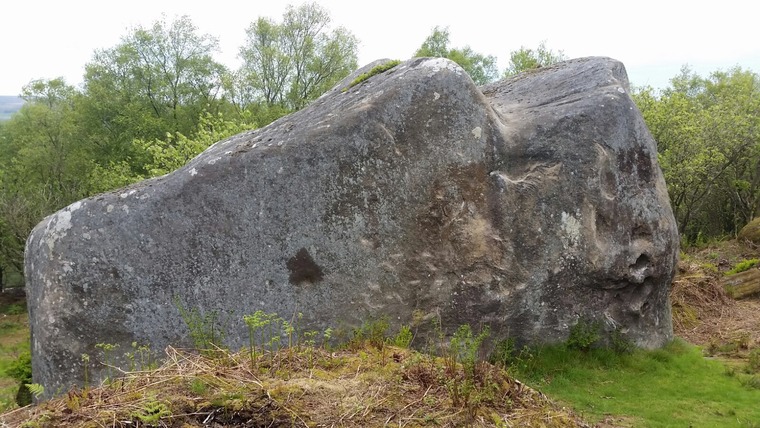 Beekeep Boulder