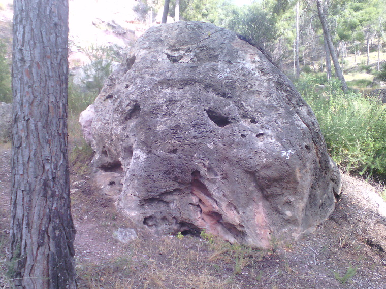 Primer sector (bajo)