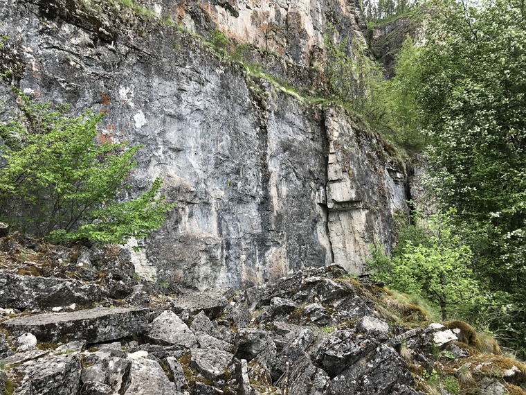 Нижняя ступень