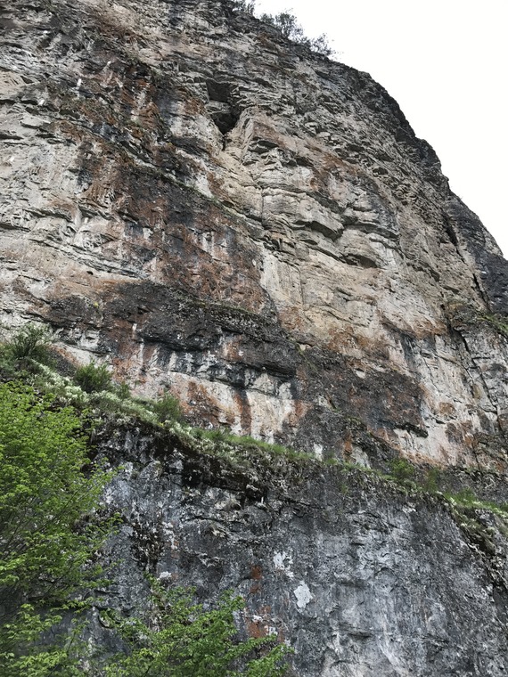 Мультипитч