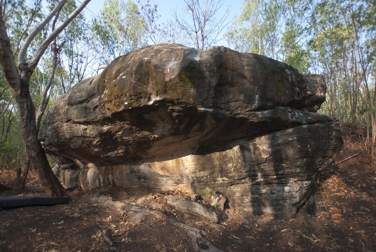 The Eucalyptus east and west