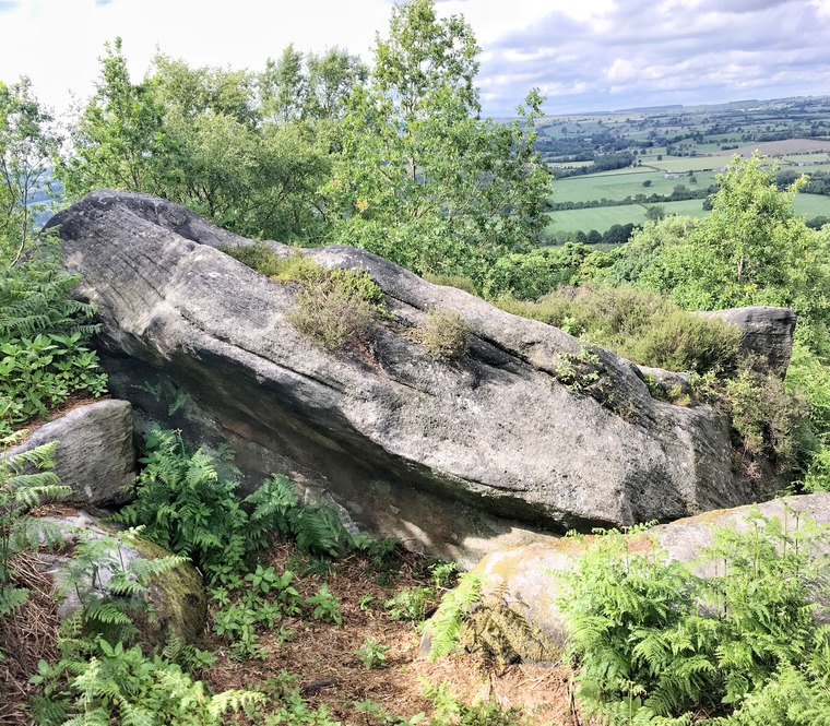 Thin Slab and Breakfest