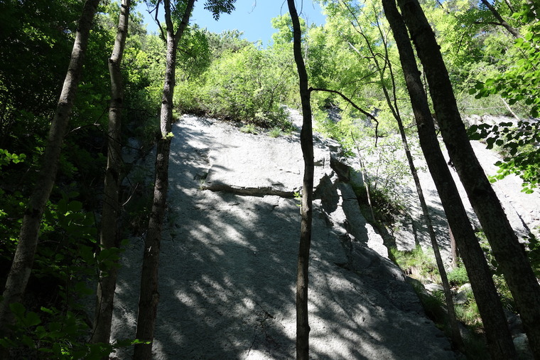 Untere Schwanseeplatte