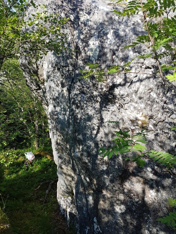 Sgt. Peppers lonely boulderclub band.
