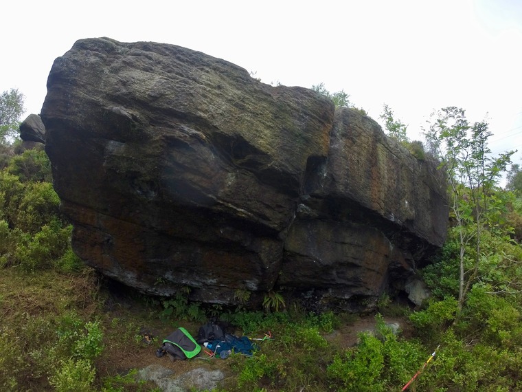 Bilberry Buttress