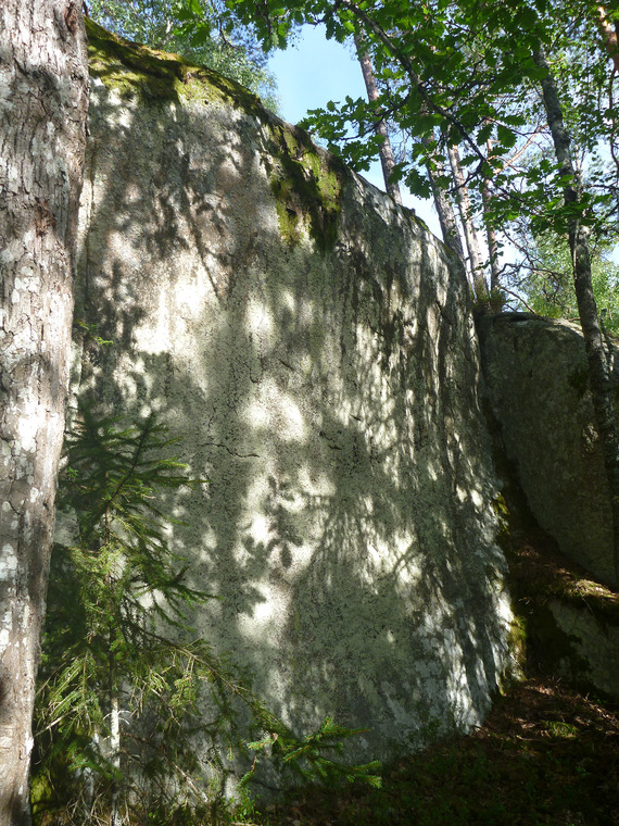 Älgakärret - Vägg