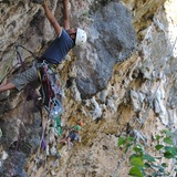 Carlos Vargas zambrano