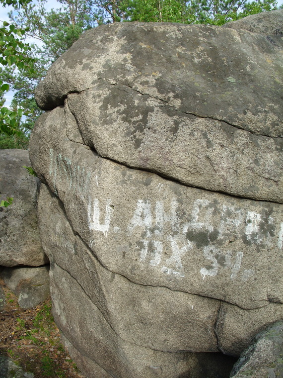 Дерево Бодхи