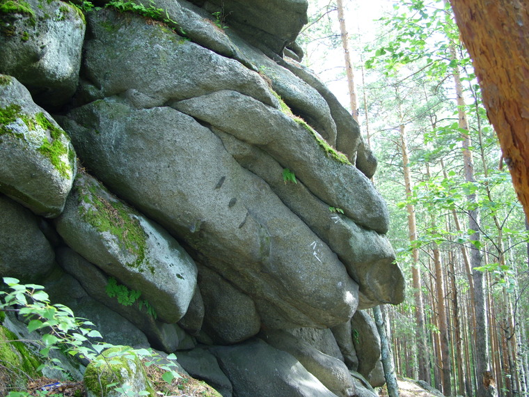 Дерево Бодхи