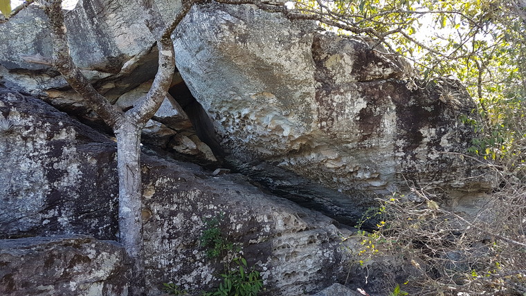 Casa da Cobra / Florestinha
