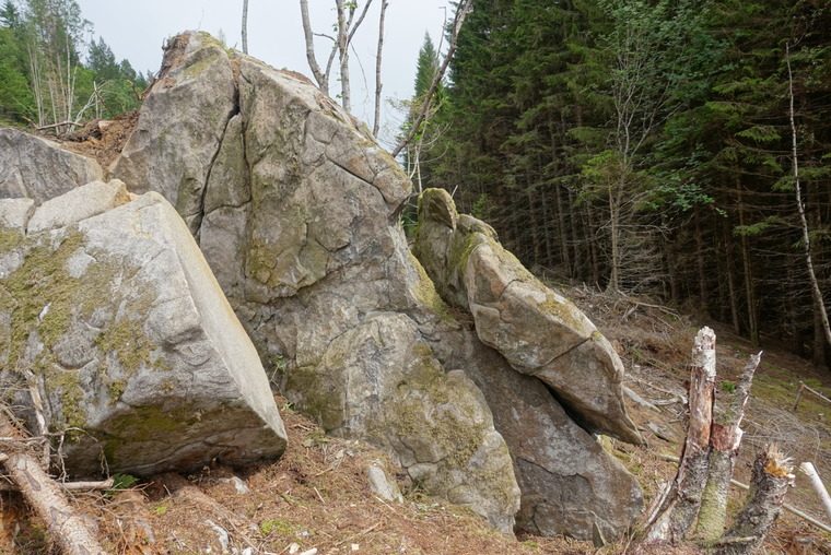 Lower stone