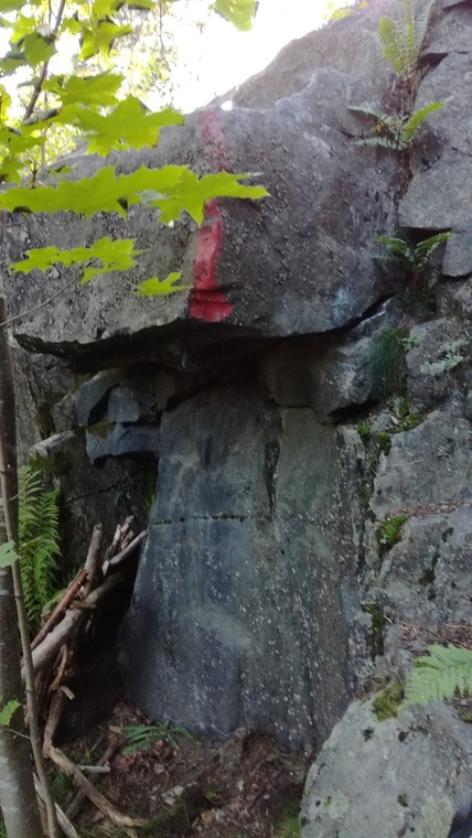 Länsibunkkerin katto