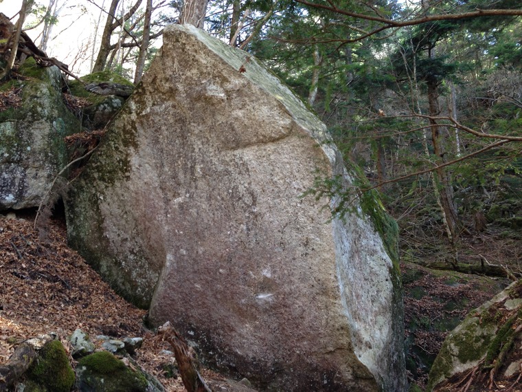 生命力 (Seimeiryoku)