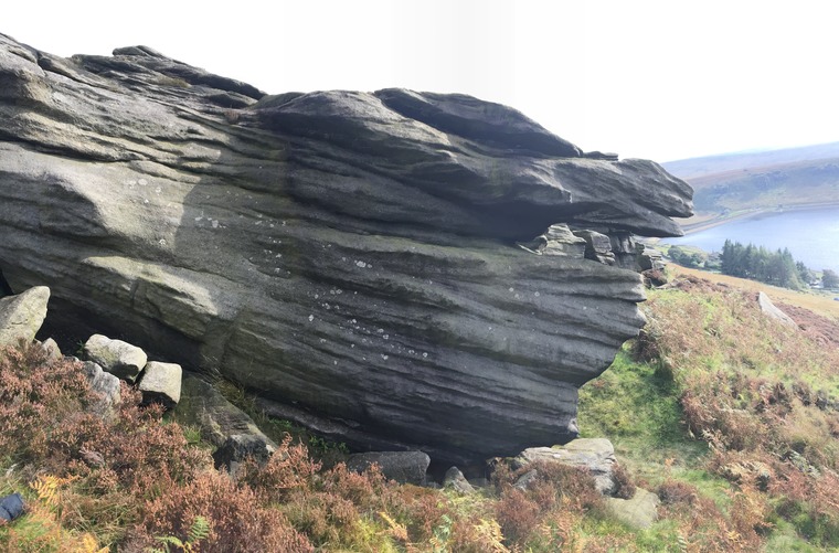 The Bay (Turtles Head)