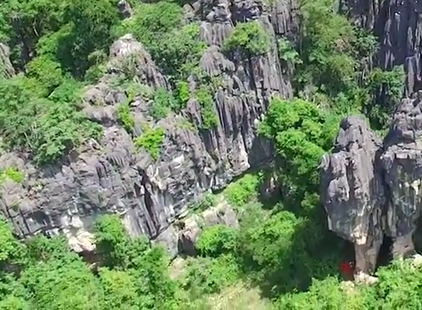 Setor Leão de Judah