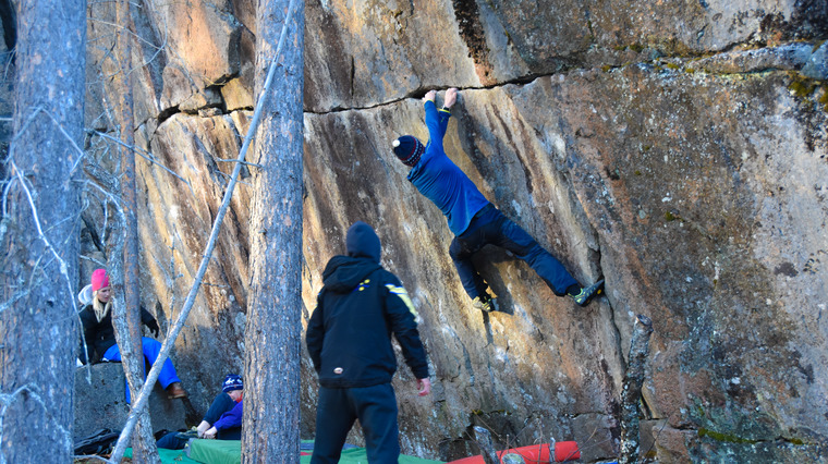 Varjiskäften - Fister Sector